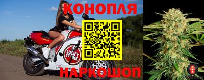 герыч Моздок