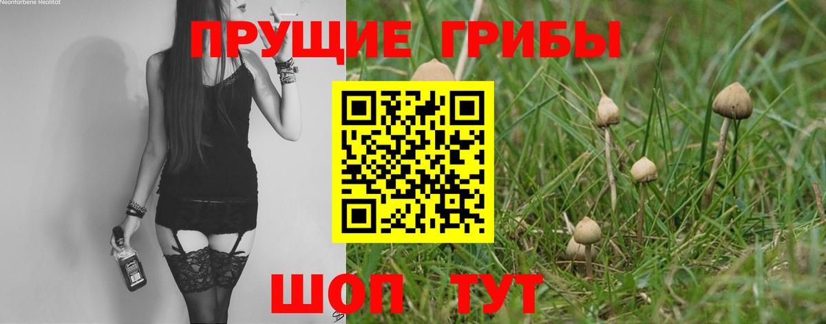 Галлюциногенные грибы ЛСД Шелехов